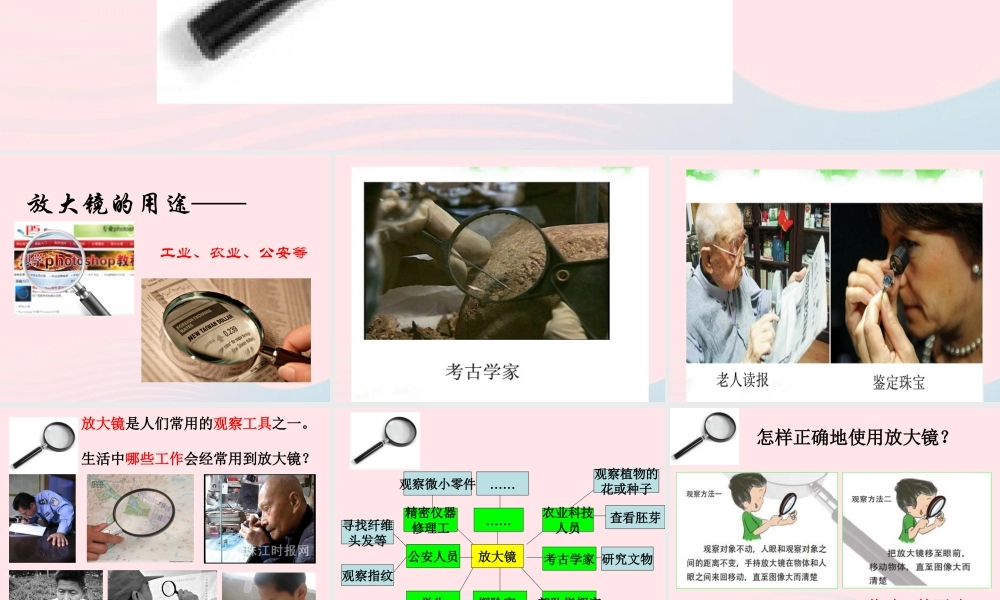 六年级科学下册 第一单元 微小世界 1 放大镜课件1 教科版-教科版小学六年级下册自然科学课件