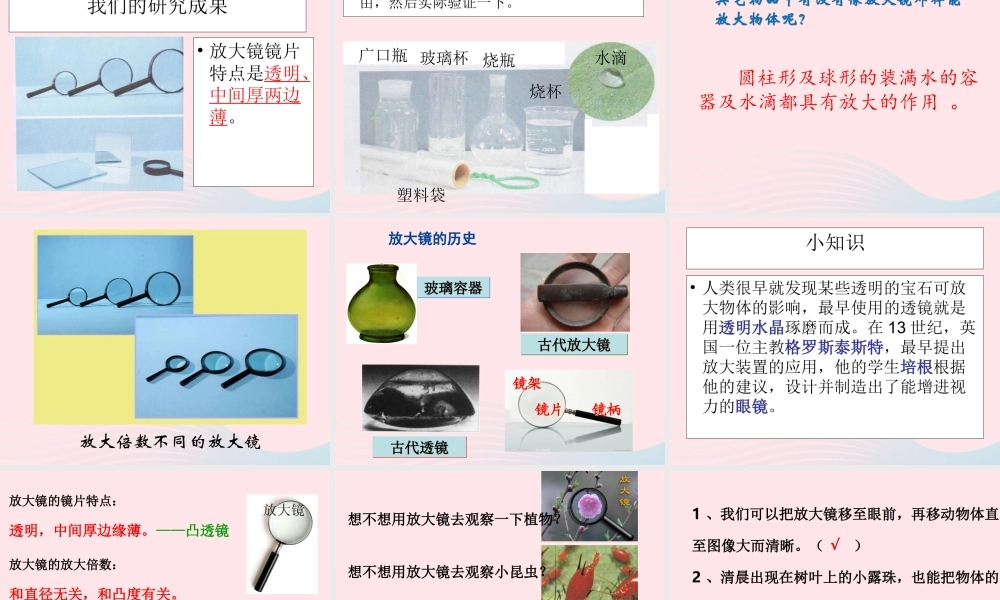 六年级科学下册 第一单元 微小世界 1 放大镜课件1 教科版-教科版小学六年级下册自然科学课件