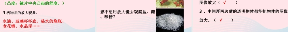 六年级科学下册 第一单元 微小世界 1 放大镜课件1 教科版-教科版小学六年级下册自然科学课件