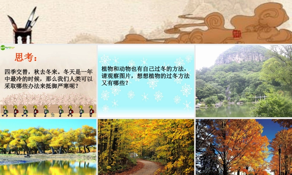 六年级科学上册 动植物是怎样过冬的课件 鄂教版
