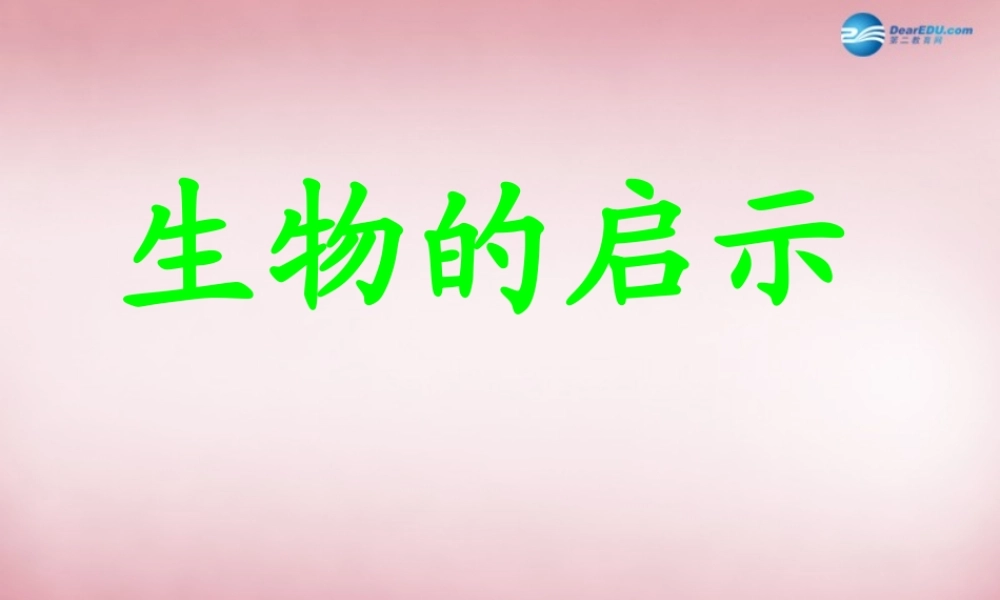 六年级科学上册 第5单元 25 生物的启示课件1 青岛版