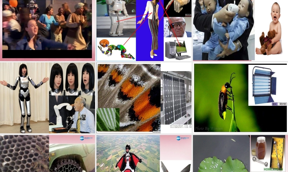 六年级科学上册 第5单元 25 生物的启示课件1 青岛版