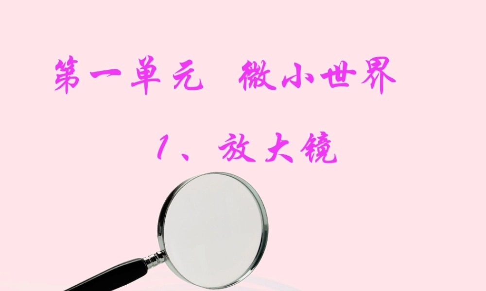 六年级科学下册 第一单元 微小世界 1 放大镜课件2 教科版-教科版小学六年级下册自然科学课件