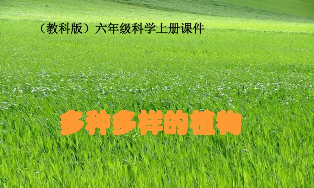 六年级科学上册 多种多样的植物 1课件 教科版