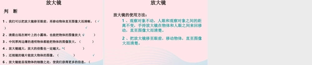 六年级科学下册 第一单元 微小世界 1 放大镜课件3 教科版-教科版小学六年级下册自然科学课件
