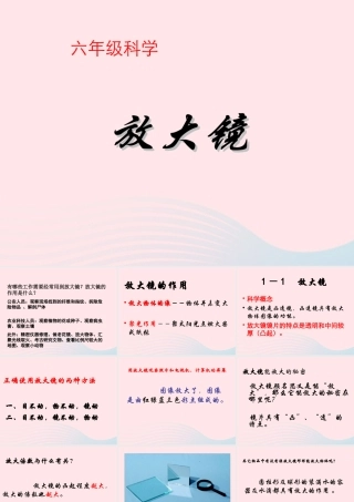 六年级科学下册 第一单元 微小世界 1 放大镜课件3 教科版-教科版小学六年级下册自然科学课件
