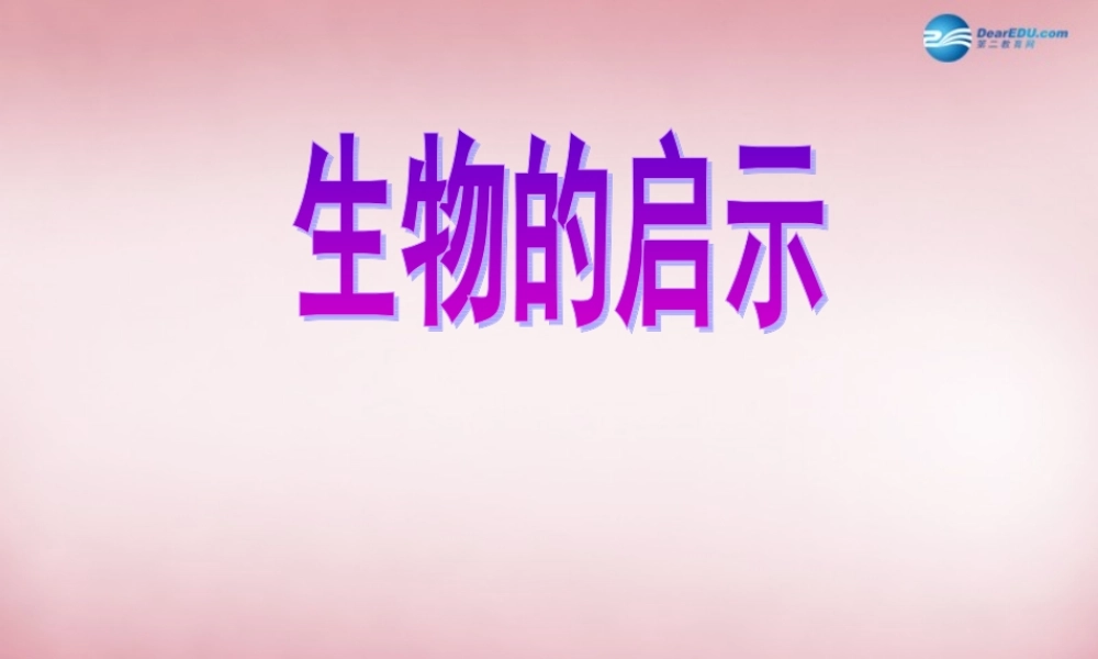 六年级科学上册 第5单元 25 生物的启示课件2 青岛版