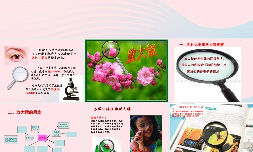 六年级科学下册 第一单元 微小世界 1《放大镜》课件1 教科版-教科版小学六年级下册自然科学课件