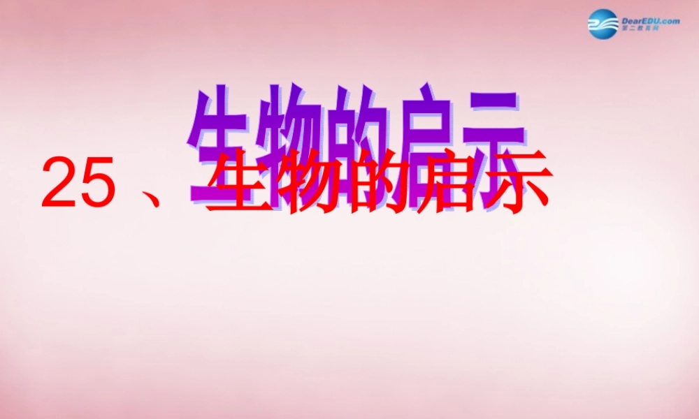 六年级科学上册 第5单元 25 生物的启示课件3 青岛版