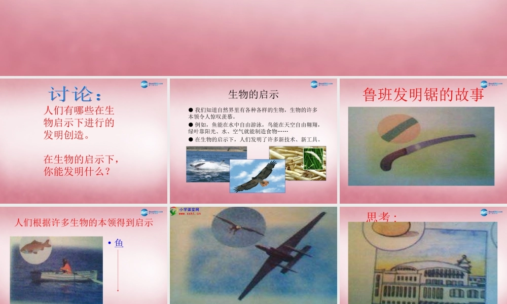 六年级科学上册 第5单元 25 生物的启示课件3 青岛版