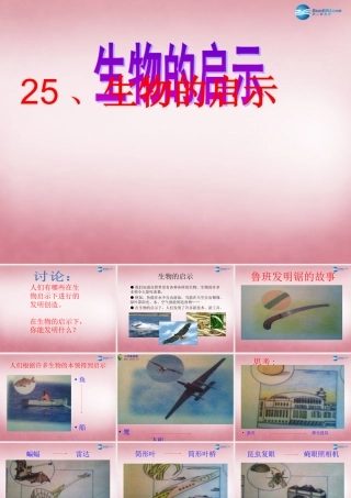 六年级科学上册 第5单元 25 生物的启示课件3 青岛版