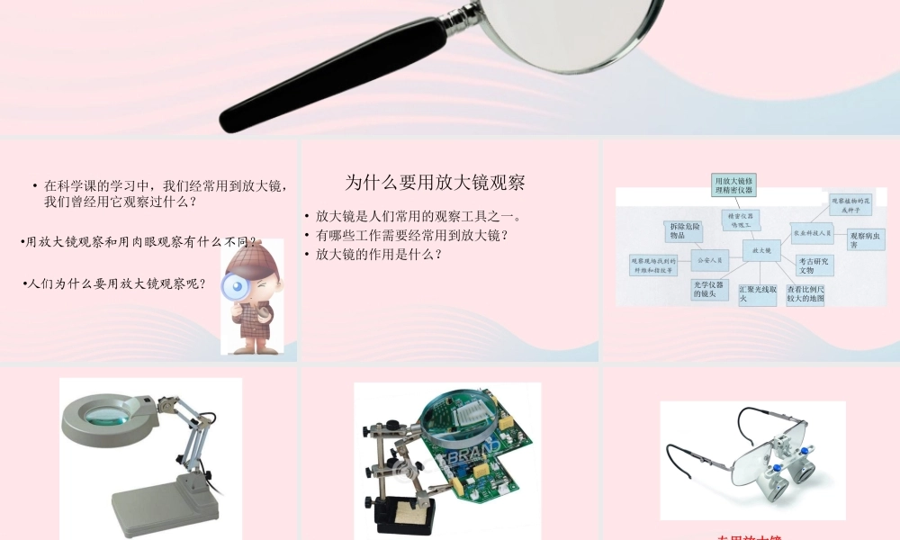 六年级科学下册 第一单元 微小世界 1《放大镜》课件2 教科版-教科版小学六年级下册自然科学课件