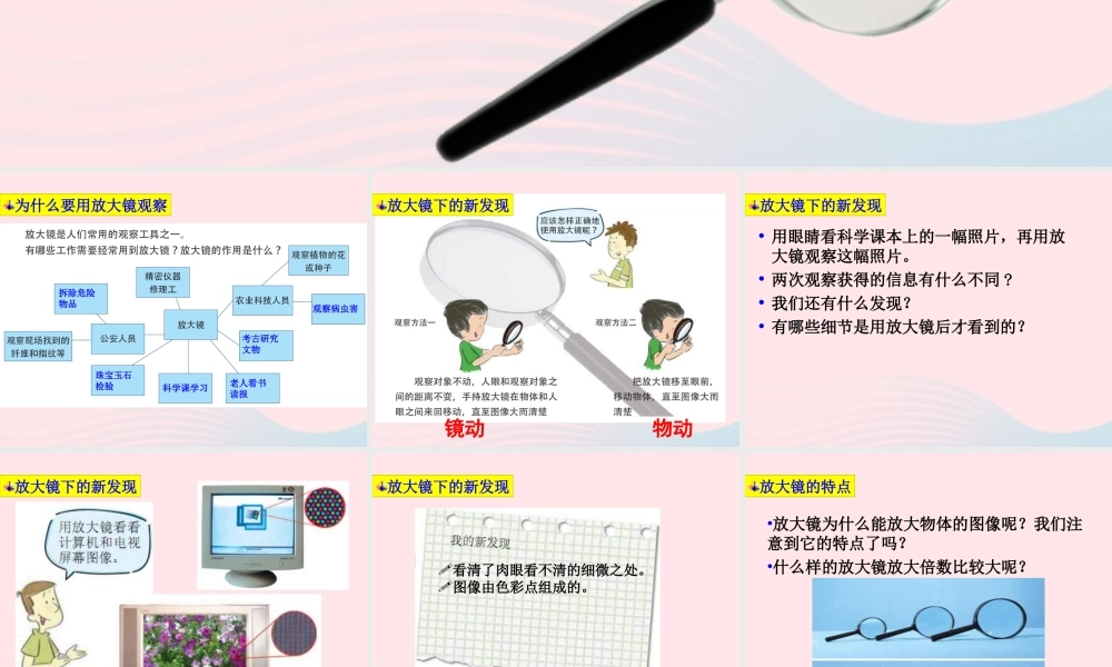 六年级科学下册 第一单元 微小世界 1《放大镜》课件3 教科版-教科版小学六年级下册自然科学课件