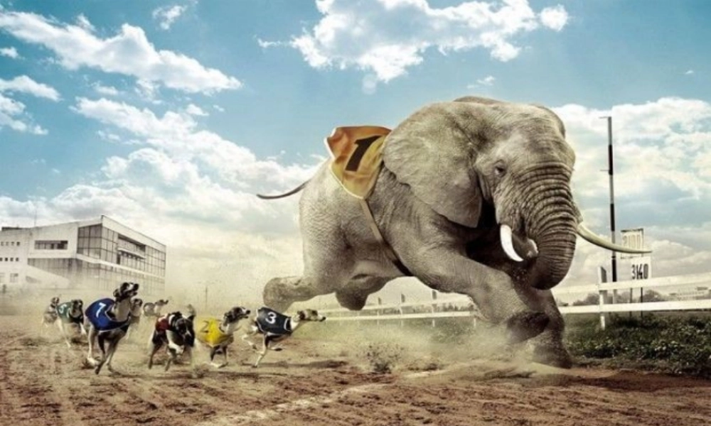 六年级科学上册 改变物体的运动状态课件4 青岛版-青岛版小学六年级上册自然科学课件