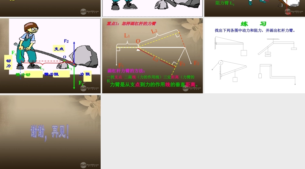 六年级科学上册 杠杆的的科学 5课件 教科版
