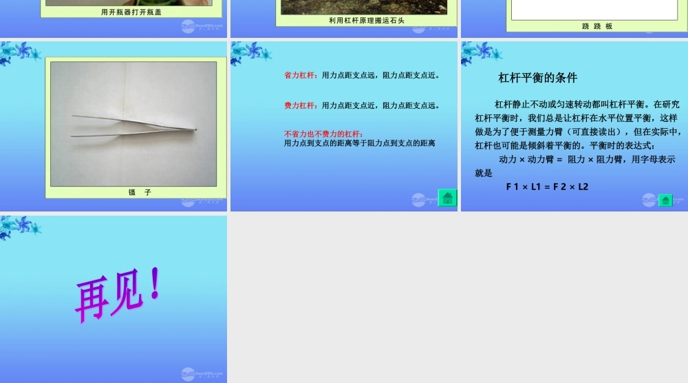 六年级科学上册 杠杆的科学 1课件 教科版