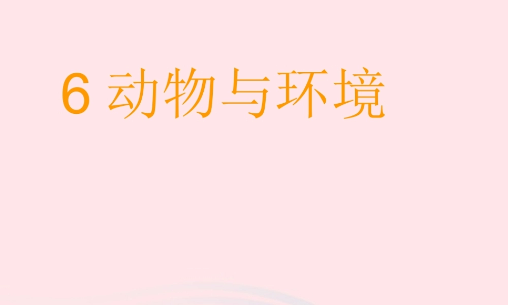 六年级科学下册 二 生物与环境 1 动物与环境课件 新人教版-新人教版小学六年级下册自然科学课件