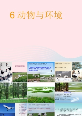 六年级科学下册 二 生物与环境 1 动物与环境课件 新人教版-新人教版小学六年级下册自然科学课件