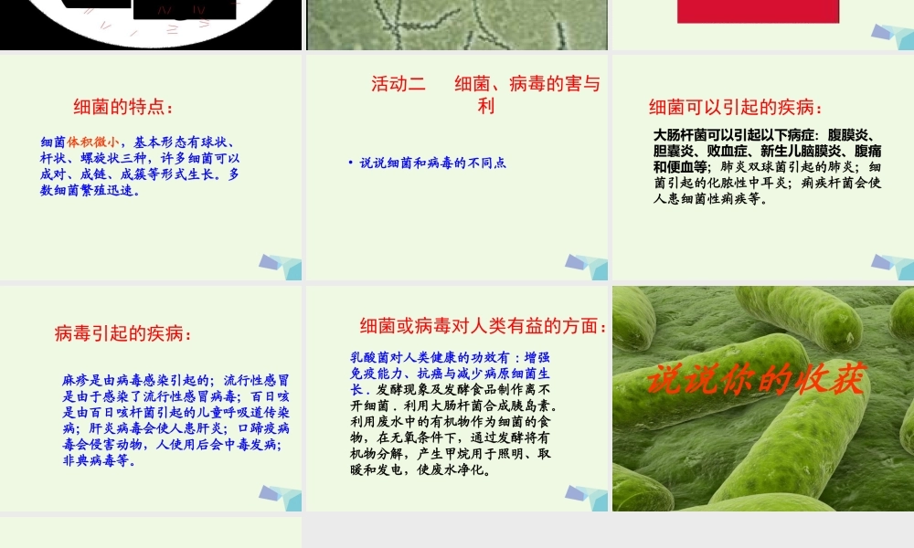 六年级科学上册 第5课 细菌和病毒课件1 冀教版-冀教版小学六年级上册自然科学课件