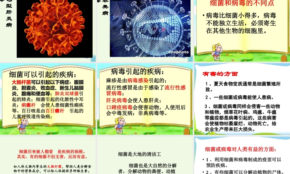 六年级科学上册 第5课 细菌和病毒课件2 冀教版-冀教版小学六年级上册自然科学课件