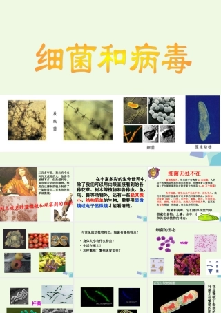 六年级科学上册 第5课 细菌和病毒课件2 冀教版-冀教版小学六年级上册自然科学课件