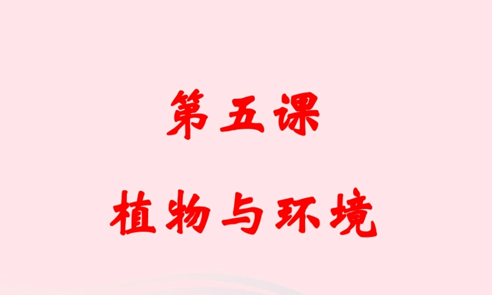 六年级科学下册 二 生物与环境 2 植物与环境课件（1） 新人教版-新人教版小学六年级下册自然科学课件