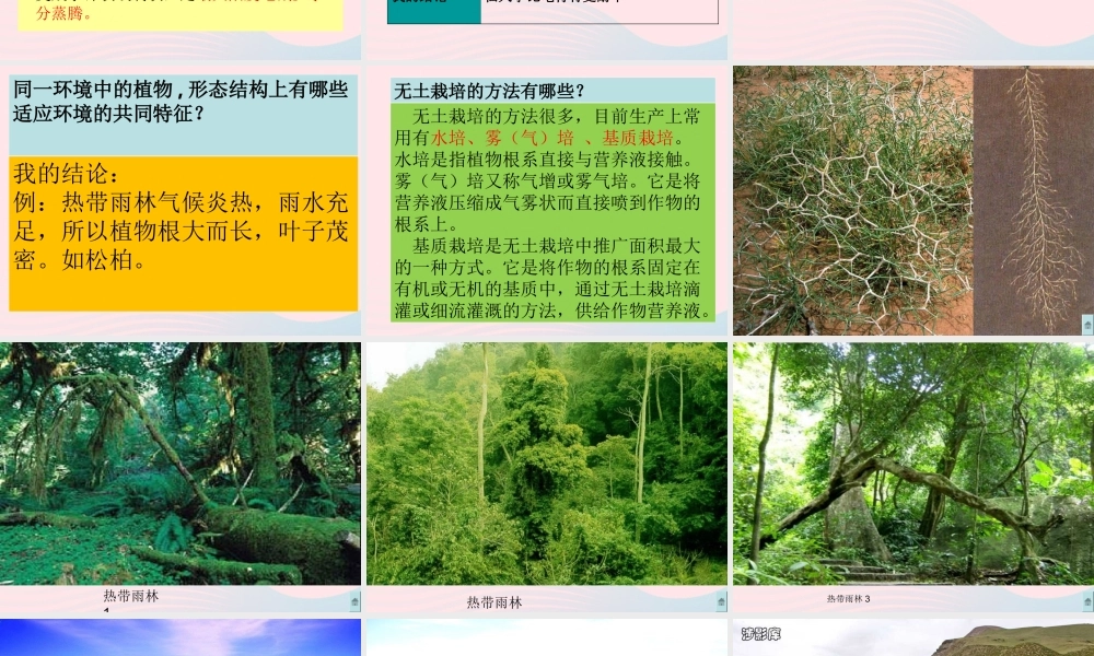 六年级科学下册 二 生物与环境 2 植物与环境课件（1） 新人教版-新人教版小学六年级下册自然科学课件