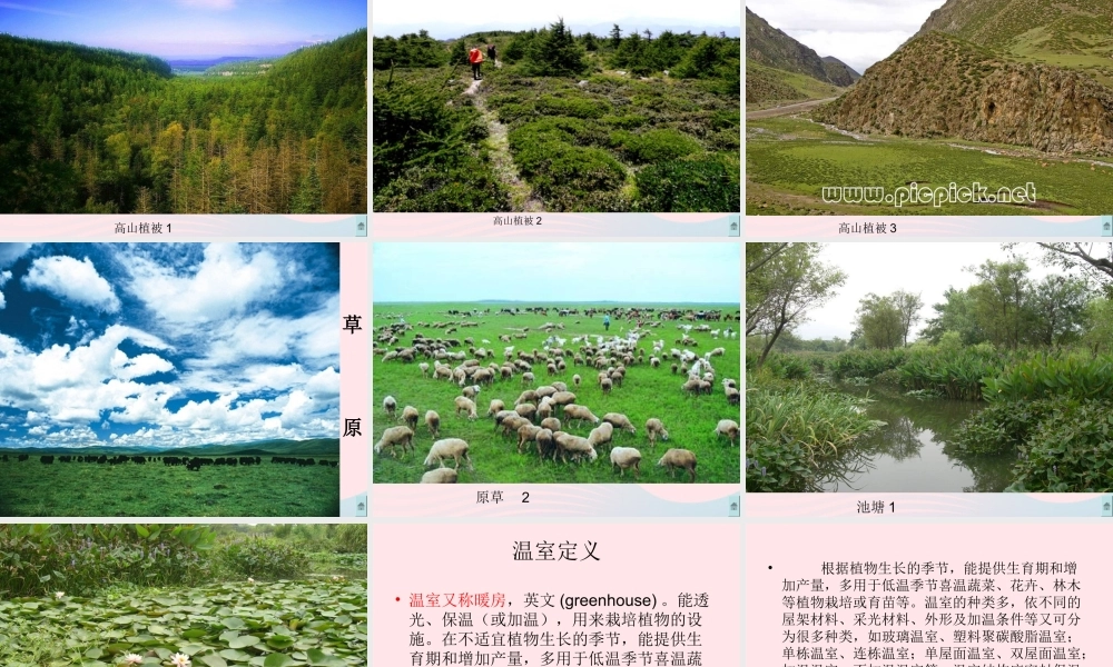 六年级科学下册 二 生物与环境 2 植物与环境课件（1） 新人教版-新人教版小学六年级下册自然科学课件