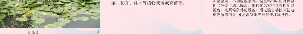 六年级科学下册 二 生物与环境 2 植物与环境课件（1） 新人教版-新人教版小学六年级下册自然科学课件