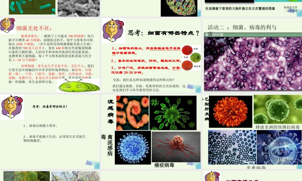 六年级科学上册 第5课 细菌和病毒课件3 冀教版-冀教版小学六年级上册自然科学课件