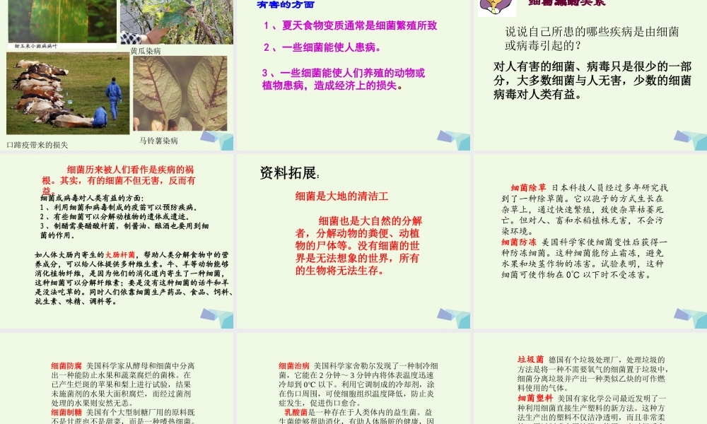 六年级科学上册 第5课 细菌和病毒课件3 冀教版-冀教版小学六年级上册自然科学课件