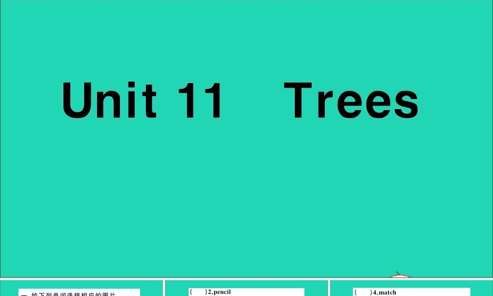 六年级英语上册 Module 4 The natural world Unit 11 Trees作业课件 沪教牛津版（三起）-牛津版小学六年级上册英语课件