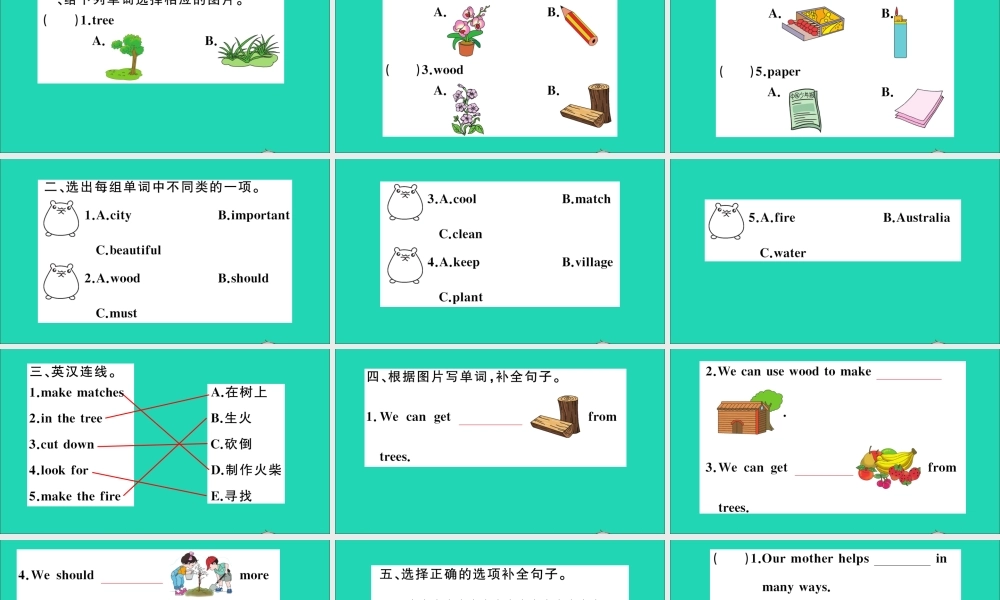 六年级英语上册 Module 4 The natural world Unit 11 Trees作业课件 沪教牛津版（三起）-牛津版小学六年级上册英语课件