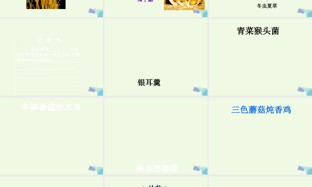 六年级科学上册 第6课 生活中的真菌课件1 冀教版-冀教版小学六年级上册自然科学课件