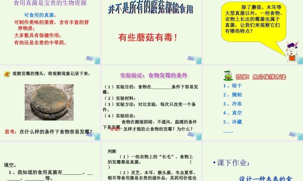 六年级科学上册 第6课 生活中的真菌课件1 冀教版-冀教版小学六年级上册自然科学课件