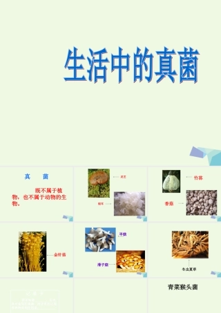 六年级科学上册 第6课 生活中的真菌课件1 冀教版-冀教版小学六年级上册自然科学课件