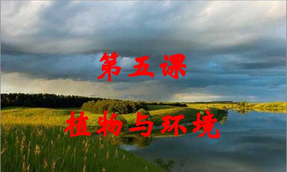 六年级科学下册 二 生物与环境 2 植物与环境课件（2） 新人教版-新人教版小学六年级下册自然科学课件