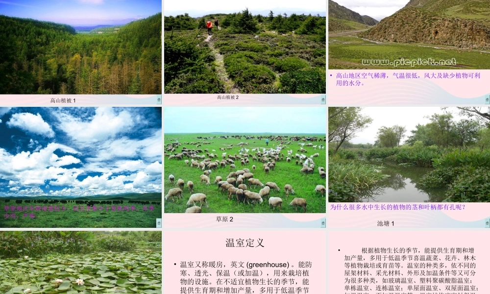 六年级科学下册 二 生物与环境 2 植物与环境课件（2） 新人教版-新人教版小学六年级下册自然科学课件