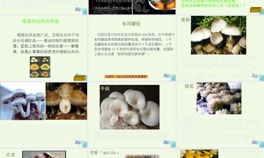 六年级科学上册 第6课 生活中的真菌课件2 冀教版-冀教版小学六年级上册自然科学课件