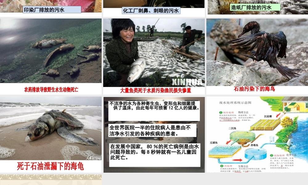 六年级科学下册 第四单元 环境和我们 6《污水和污水处理》课件 教科版-教科版小学六年级下册自然科学课件