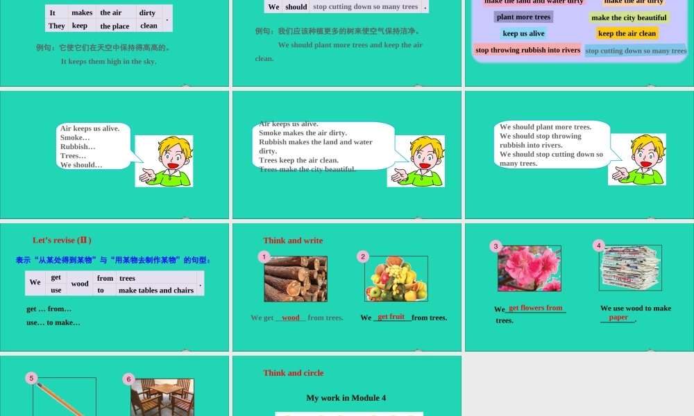 六年级英语上册 Module 4 The natural world（Revision 4）课件 沪教牛津版（三起）-牛津版小学六年级上册英语课件