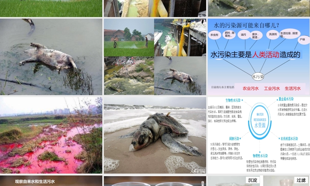 六年级科学下册 第四单元 环境和我们 6污水和污水处理课件 教科版-教科版小学六年级下册自然科学课件