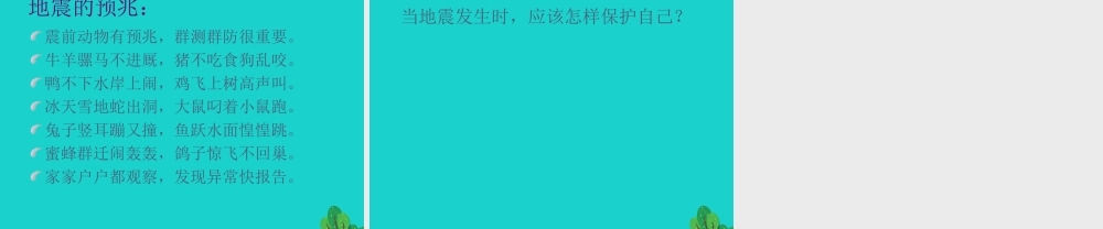 六年级科学上册 火山和地震课件5 苏教版-苏教版小学六年级上册自然科学课件
