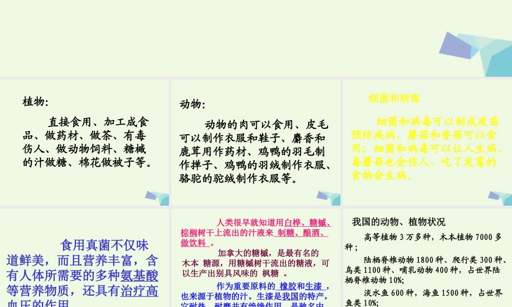 六年级科学上册 第7课 宝贵的生物资源课件1 冀教版-冀教版小学六年级上册自然科学课件