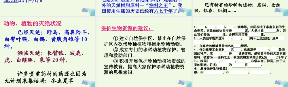 六年级科学上册 第7课 宝贵的生物资源课件1 冀教版-冀教版小学六年级上册自然科学课件