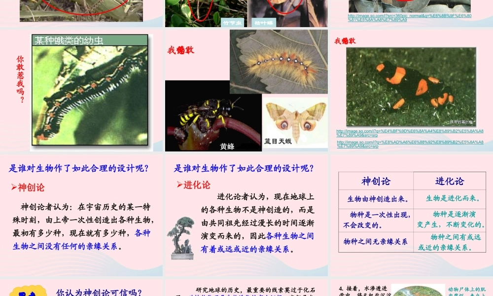 六年级科学下册 二 生物与环境 4 生物的进化课件（1） 新人教版-新人教版小学六年级下册自然科学课件
