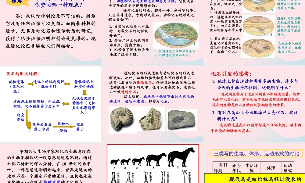 六年级科学下册 二 生物与环境 4 生物的进化课件（1） 新人教版-新人教版小学六年级下册自然科学课件