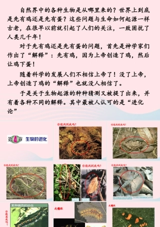 六年级科学下册 二 生物与环境 4 生物的进化课件（1） 新人教版-新人教版小学六年级下册自然科学课件