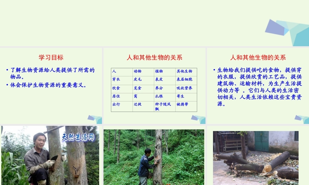 六年级科学上册 第7课 宝贵的生物资源课件2 冀教版-冀教版小学六年级上册自然科学课件