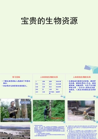 六年级科学上册 第7课 宝贵的生物资源课件2 冀教版-冀教版小学六年级上册自然科学课件